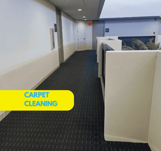 Certified technician performing hot water extraction carpet cleaning service removing stains and dirt from residential carpet in Sarasota home