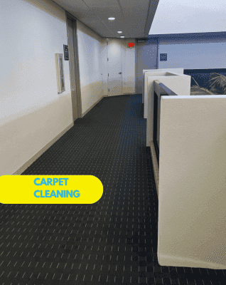 Steam carpet cleaning service in action Sarasota Florida