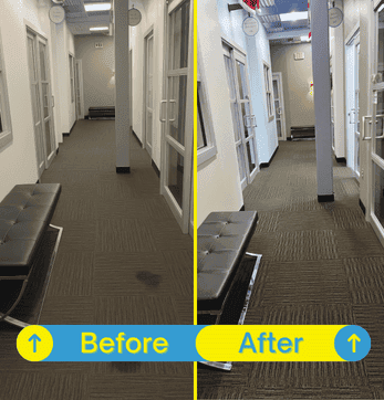 Carpeted hallway completely cleaned and disinfected, with a uniform and spotless finish.