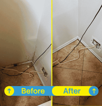 Area behind the refrigerator completely cleaned, with dust, grease, and dirt removed.