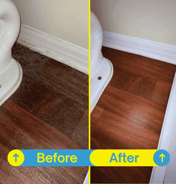 Hidden area behind the toilet lid completely cleaned and disinfected.