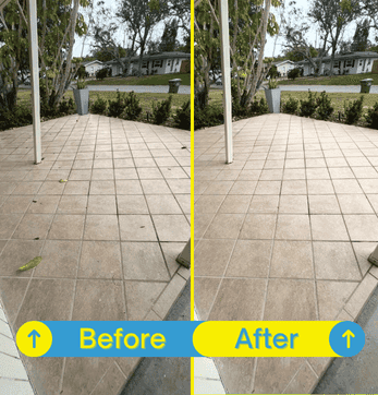 Front yard cleaned and tidied after sweeping, trimming, and debris removal.